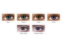 Freshlook Colors 2 pk Alcon